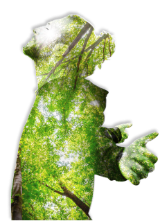 Man Green