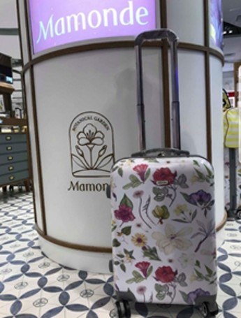 Mamonde luggage
