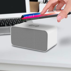 2 in 1 Wheat Straw Wireless Charger cum Bluetooth Speaker