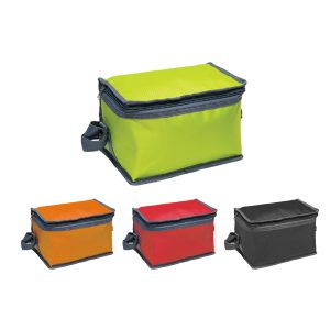 Generic Cooler Bag