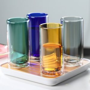 Double Wall Glass Lifestyle Tumbler