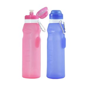 Collapsible Water Bottle with Carabiner (600ml)