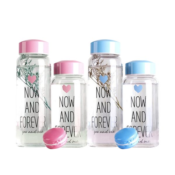 Macaroon Glass Bottle (360ml and 460ml)