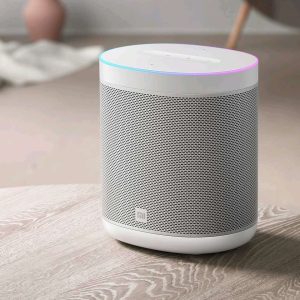 Mi Smart Speaker