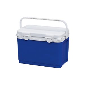 Portable Cooler Box