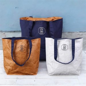 Reversible Tyvek Bag