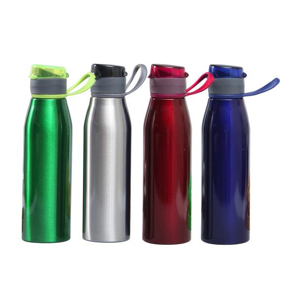 Sporty Stainless Steel Water Bottle (700ml)