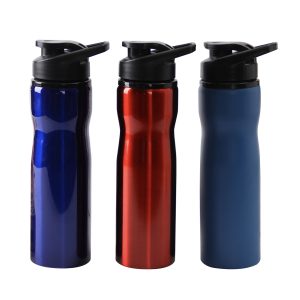 Stainless Steel Water Bottle (750ml)