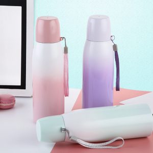 Gradient Thermal Flask (500ml)