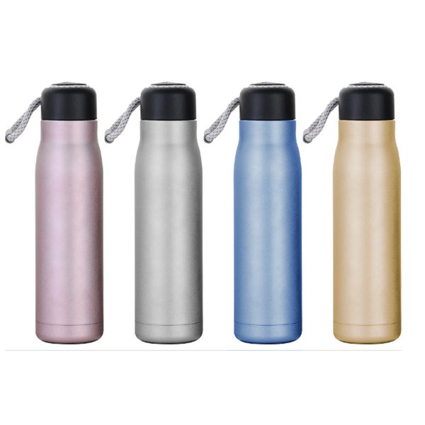 Leakproof Stainless Steel Thermal Flask (420ml/ 550ml)