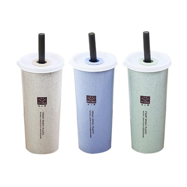 Wheat Straw Tumbler with Straw (450ml)