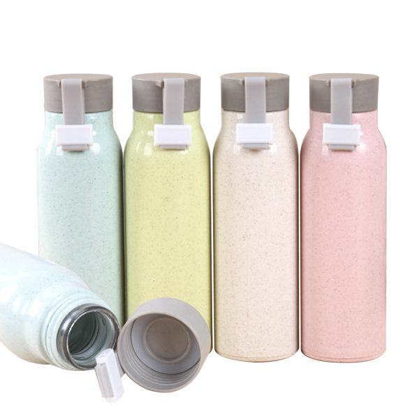 Wheat Straw Double Wall Glass Bottle (350ml)