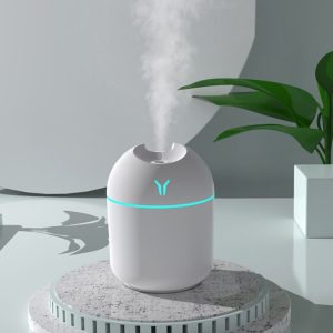 Humidifier