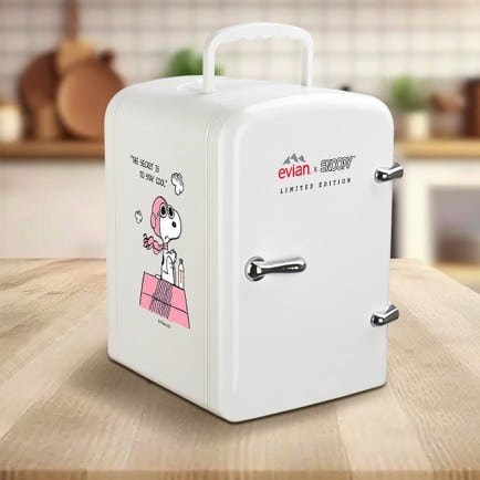 Evian x Snoopy mini fridge