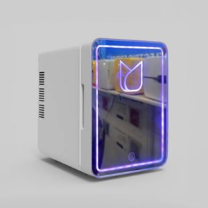 Beauty Fridge with LED Mirror