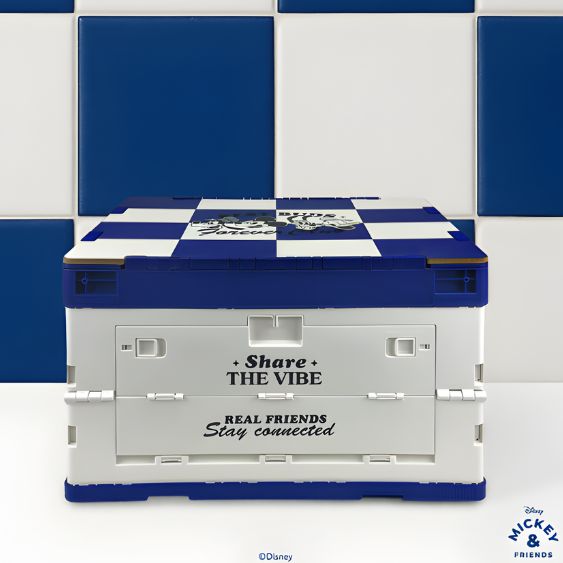 Disney Mickey and Friends Collapsible Storage Box