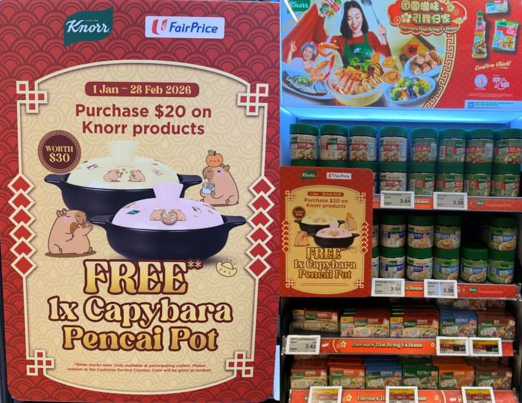 Knorr Gift with Purchase promotion at FairPrice supermarket - free Capybara Pencai Pot
